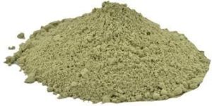 Organic Kalmegh Powder