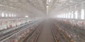 Poultry Farm High Pressure Misting System
