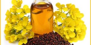 Mustard Oil