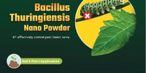 Bacillus Thuringienis Nano Powder