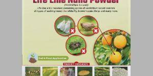 Life Line Nano Powder