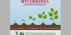 Mycorrhiza Biofertilizer Capsules