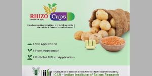 Rhizo Biofertilizer Capsules