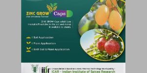 Zinc Grow - zinc solubilising bacteria - Zinc fertilizer