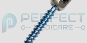 Poly Axial Screw