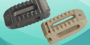 PLIF CAGE (BULLET CAGE)