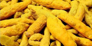Turmeric Finger