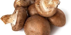 Shiitake Mushroom