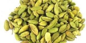 Cardamom Oleoresin