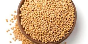 Yellow Mustard Seeds