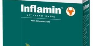 Inflamin Vet Cream