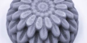 BloomSense Activated Charcoal with Goat Milk Soap