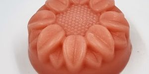 BloomSense Apple Soap