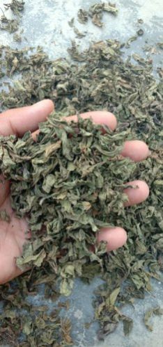 Dried Mint Leaves