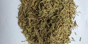 Dried Rosemary Leaves