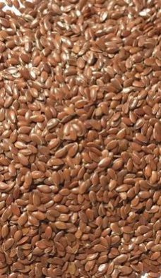 Flax Seeds