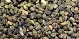 Green Coffee Beans