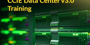 Computer Courses Training