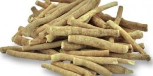 Ashwagandha Roots