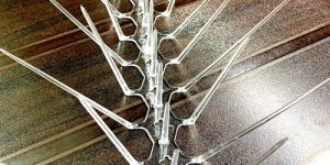 Polycarbonate Bird Spikes