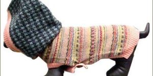 Dog Sweater