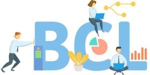 Bank Comfort Letter (BCL)