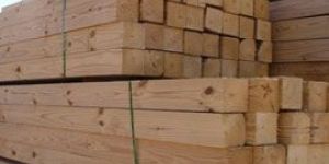 New Zealand Pine Wood