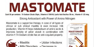 Anti Mastitis Powder