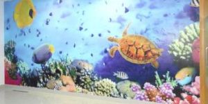 School Wall Painting Pictures