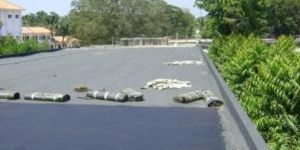 SBS Modified Membrane