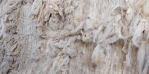 Raw Wool
