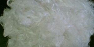 Polyester Waste Wiry