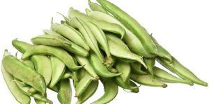 Fresh Broad Beans