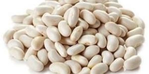 Fresh White Beans