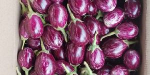 Brinjal
