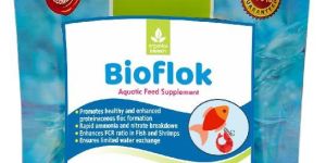 Bioflok- Best Probiotic for Biofloc Fish Farming