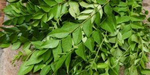 Curry Leaves Capsules
