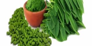 Organic Moringa Tablet
