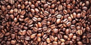 Robusta Coffee Beans