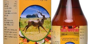 Well Appetite Syrup