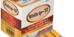 Wellcip-TZ Tablets
