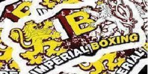 Multicolor Transfer Stickers