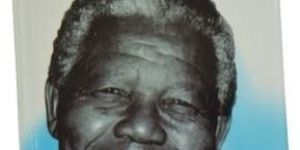 Nelson Mandela Biography Book