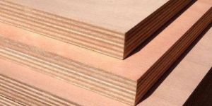 Commercial Plywood