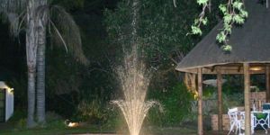 Floating Flower Fountain