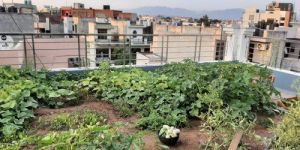 Terrace Waterproofing Services