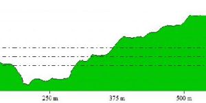 Cut Fill Volume Calculation