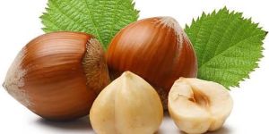 Hazelnuts
