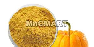 Spray Dried Pumpkin Powder