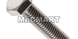 Stainless Steel Bolt